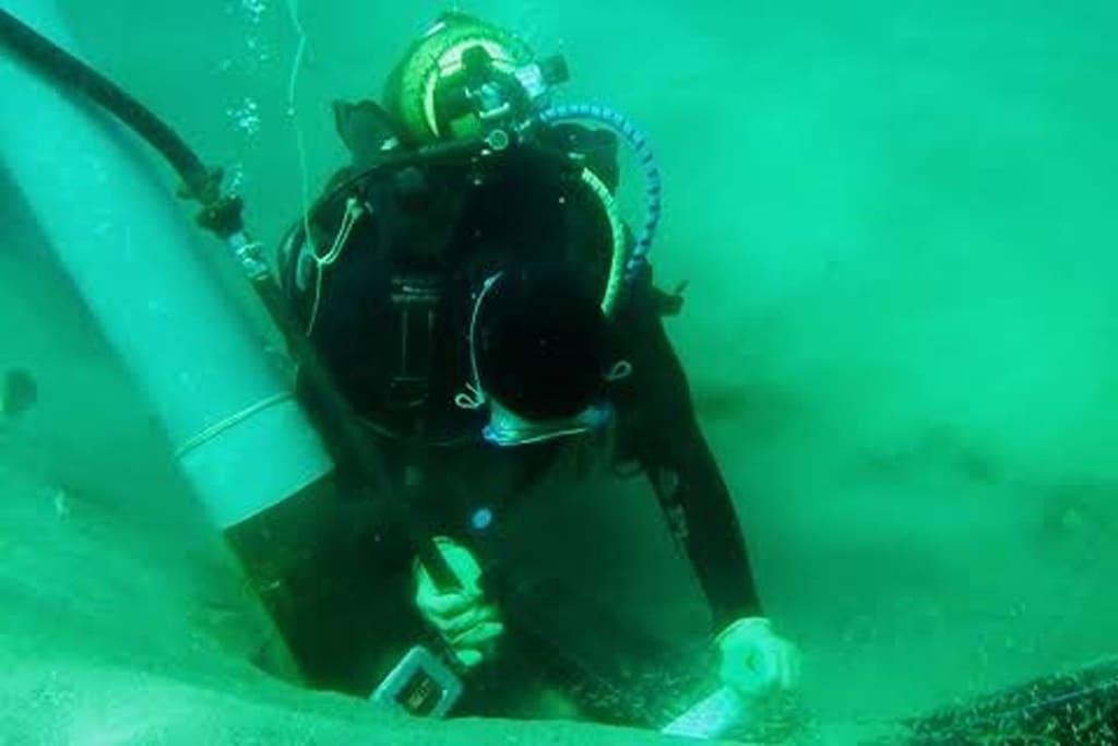 proyecto-mantenimiento-marino-y-terrestre